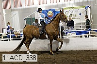 11acd_338 proof