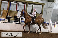 11acd_344 proof
