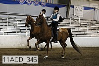 11acd_346 proof