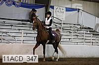11acd_347 proof