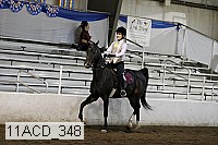 11acd_348 proof