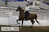11acd_350 proof