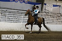 11acd_351 proof