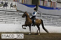 11acd_352 proof