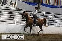 11acd_353 proof