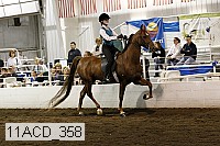 11acd_358 proof