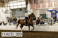 11acd_359 proof