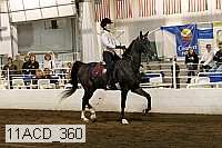 11acd_360 proof