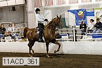 11acd_361 proof