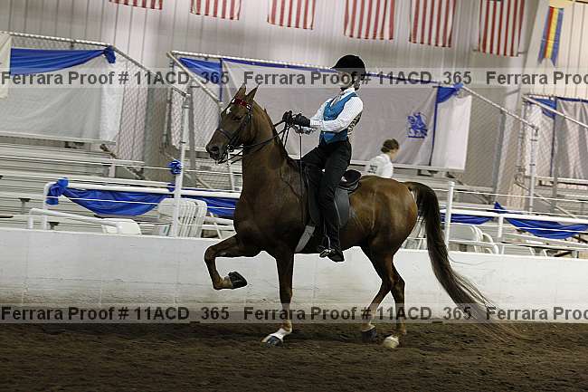 Proof 11acd_365