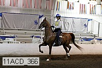 11acd_366 proof