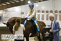 11acd_381 proof
