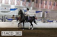 11acd_382 proof