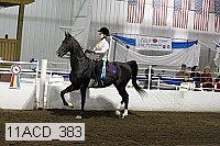 11acd_383 proof