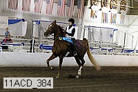 11acd_384 proof