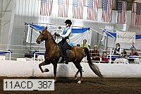 11acd_387 proof