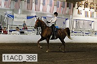 11acd_388 proof