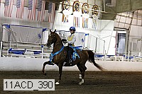 11acd_390 proof