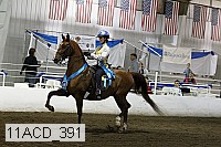 11acd_391 proof