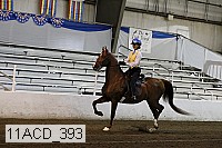 11acd_393 proof