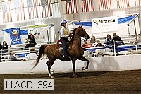 11acd_394 proof