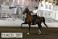 11acd_397 proof