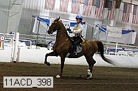 11acd_398 proof