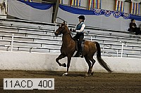 11acd_400 proof