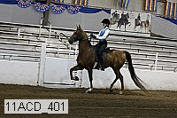 11acd_401 proof