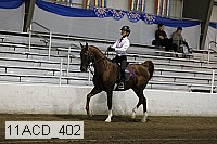 11acd_402 proof