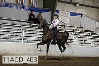 11acd_403 proof