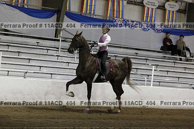 Proof 11acd_404