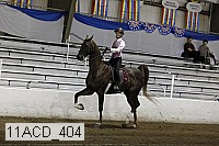 11acd_404 proof