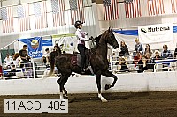 11acd_405 proof