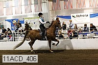 11acd_406 proof