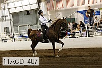 11acd_407 proof