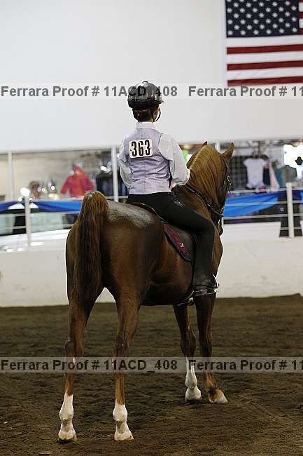 Proof 11acd_408