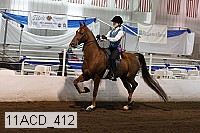 11acd_412 proof