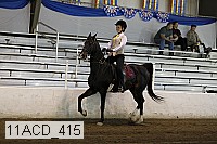 11acd_415 proof