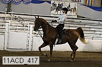 11acd_417 proof