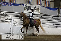 11acd_418 proof
