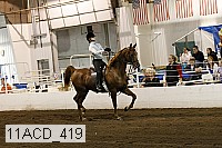 11acd_419 proof