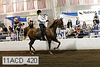 11acd_420 proof
