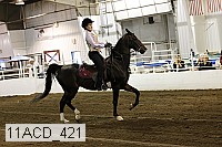 11acd_421 proof