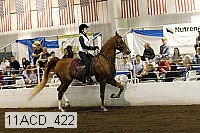 11acd_422 proof