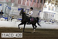 11acd_428 proof