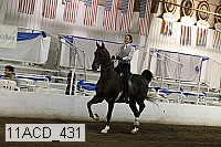 11acd_431 proof