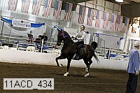 11acd_434 proof
