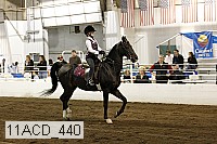11acd_440 proof