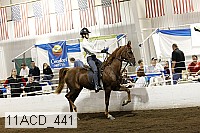 11acd_441 proof